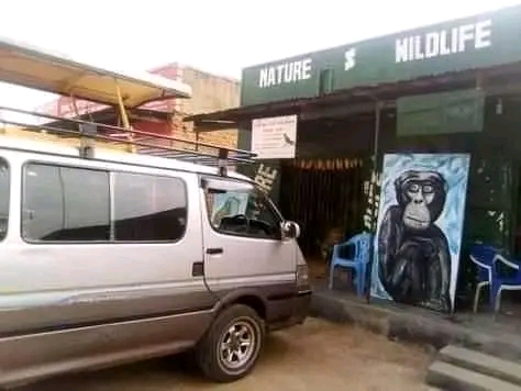 NATURE & WILDLIFE TOURS CO LTD